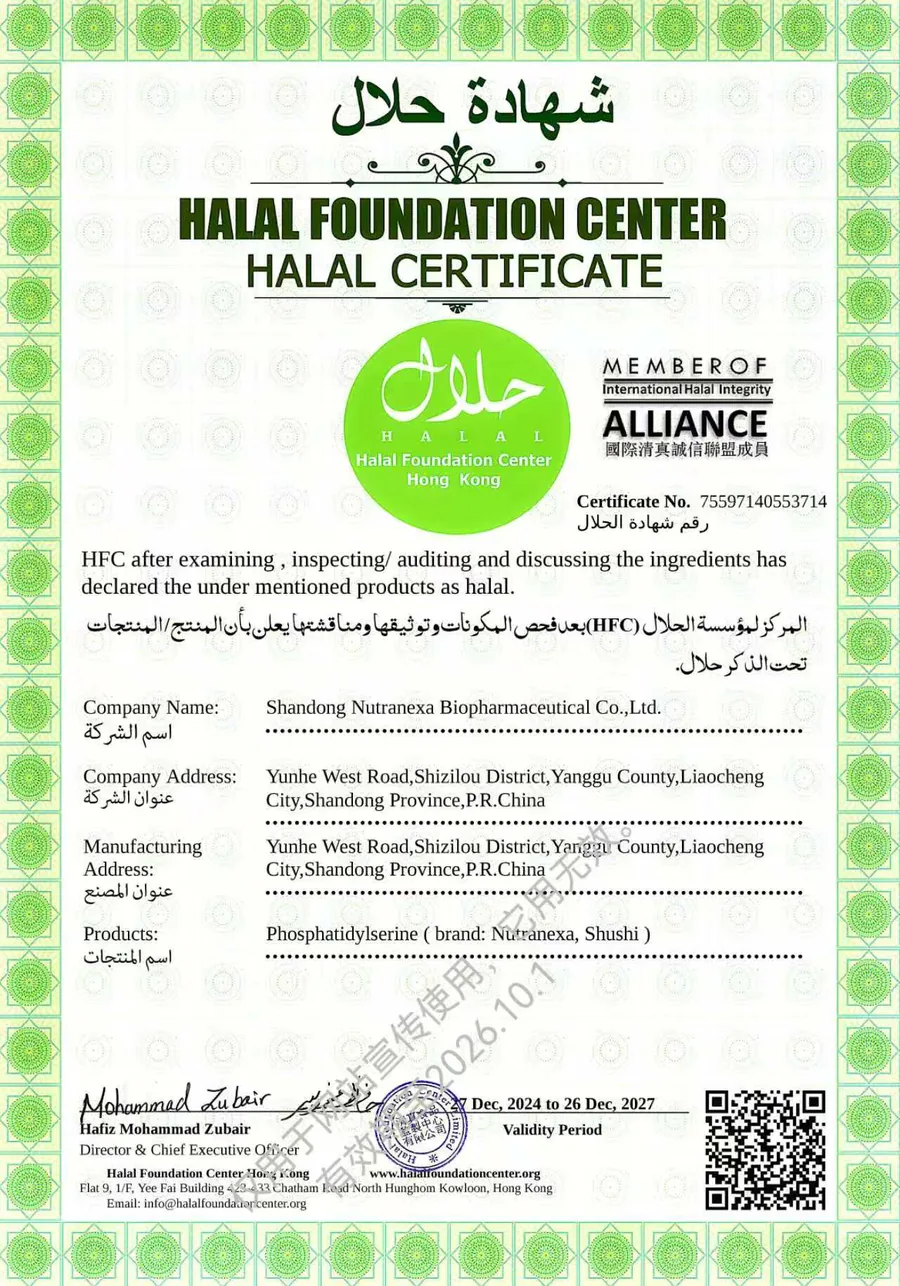 Top-down cross-border phosphatidylserine halal review workstation with a sealed drum lid edge, white powder dish on a translucent green panel, soy and sunflower sample trays, blank approval sleeves, and export carton corner in daylight